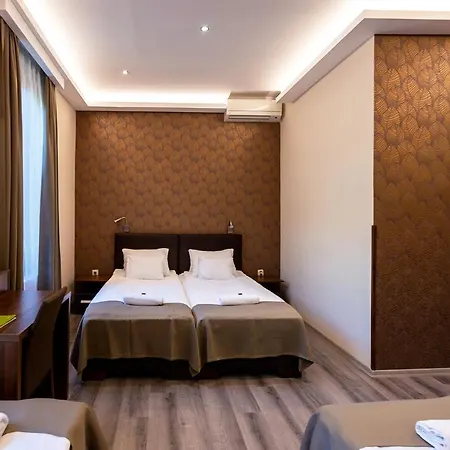 B&B Ven Diofa De Lux Panzio